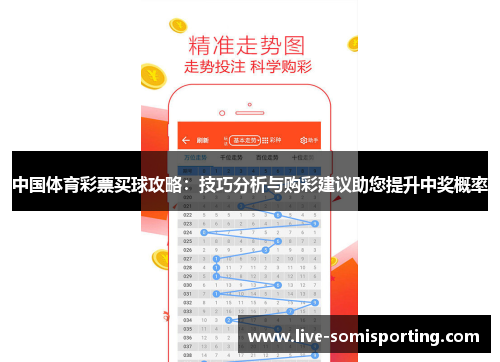 中国体育彩票买球攻略：技巧分析与购彩建议助您提升中奖概率